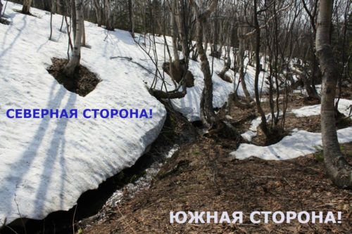 Ориентирование по снегу