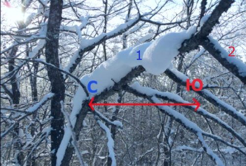 Ориентирование по снегу