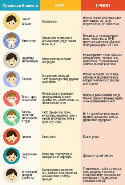 Осторожно: эпидемия свиного гриппа! Средства борьбы и профилактика