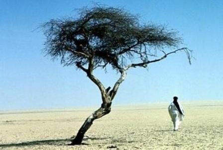 Симптомы обезвоживания