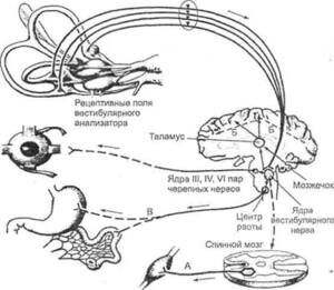 Повседневная подготовка стрелка: Тренировки без оружия