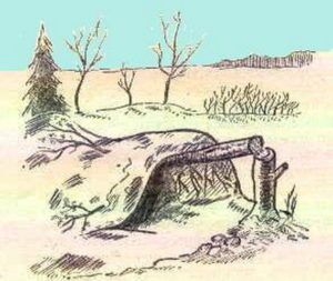 Простые укрытия для выживания: как построить двускатные шалаши — навесы