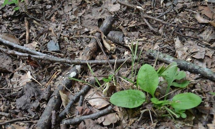 Разведение костра — 10 наиболее частых ошибок