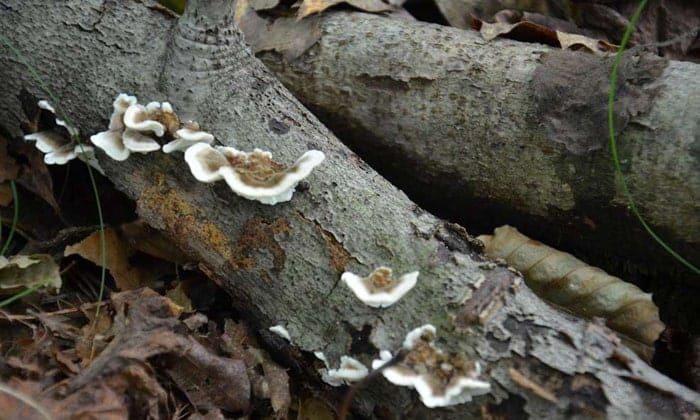 Разведение костра — 10 наиболее частых ошибок