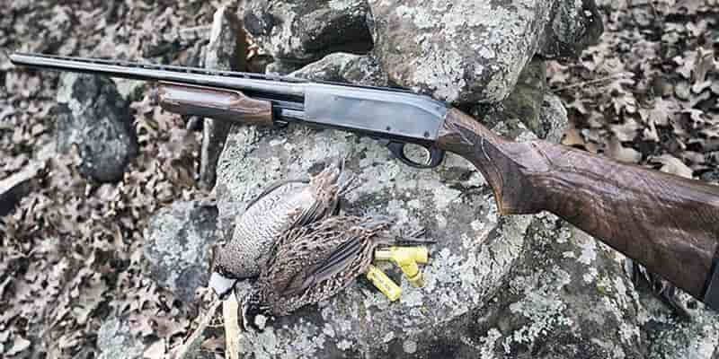 Remington 870: Самое лучшее помповое ружьё в мире?