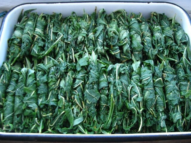 подготовка к ферментации скручивание листьев в рулончики