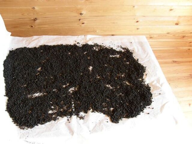 заварка иван чая, сушка сырья