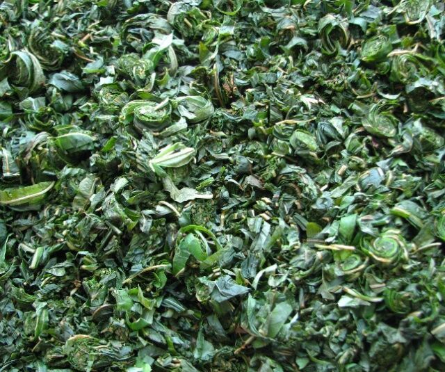 ферментированные листья кипрея иван-чая