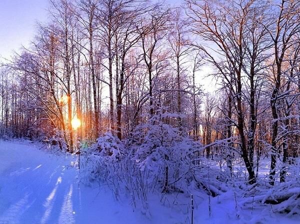 Признаки приближения оттепели