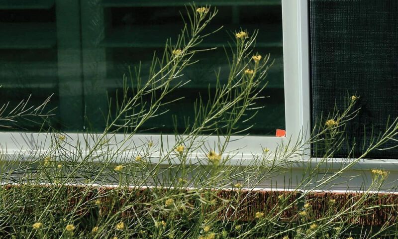 Тайники «Dead drops»: безопасная связь на основе опыта шпионажа времён холодной войны