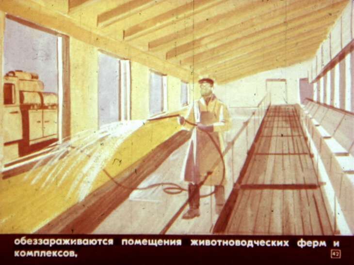 Умей действовать в очаге поражения. Диафильм СССР 1982 года