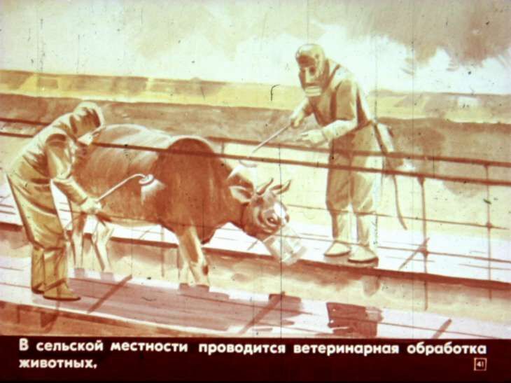 Умей действовать в очаге поражения. Диафильм СССР 1982 года