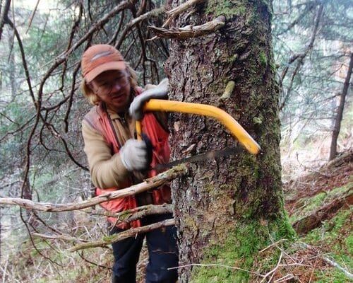 Всё, что нужно знать про ручные пилы для выживания и походов