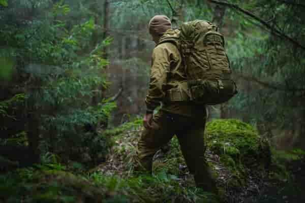Выживание в лесу: 6 полезных деревьев
